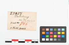 Etikett zu Bronzelappenbeil (NHMW-PRAE-025927)